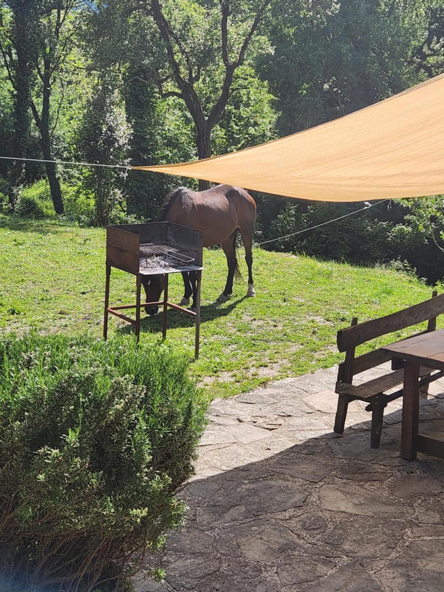 Contea Del Piano Βίλα Piteglio Εξωτερικό φωτογραφία